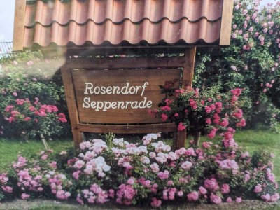 Lüdinghausen-Seppenrade - Nähe ROSENGARTEN !!! ZWEI-Familienwohnhaus