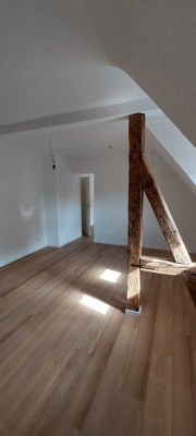 Erstbezug nach Sanierung: Altbauwohnung in Stuttgart-West