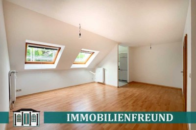 In den Baumkronen von Solingen Wald