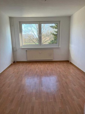 4 Raumwohnung mit Blick ins Grüne in Dechow!