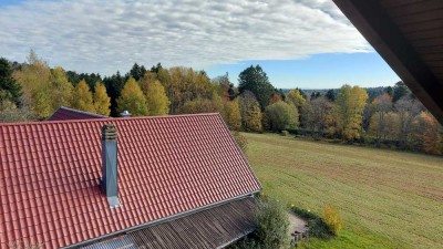 Besondere 2-Zimmer-Wohnung mit herrlichem Blick