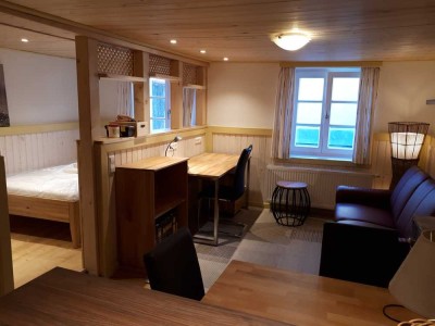stilvolle 2-Zimmer-Studenten-Wohnung mit EBK in Passau Innstadt