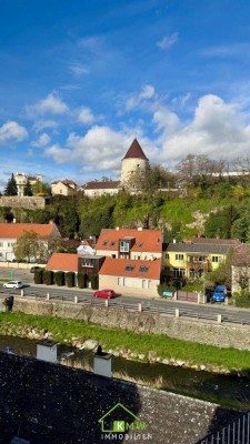 Wohnen im Zentrum: sanierungsbedürftiges Einfamilienhaus mit Entwicklungspotential (inkl. Studie)