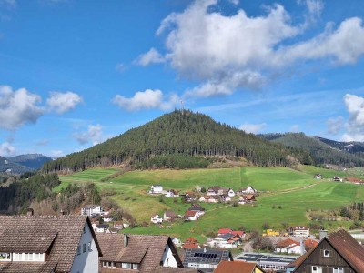 Schöne möblierte 1-Zi-Whg mit separater EBK, Süd-Balkon mit traumhaften Ausblick in Baiersbronn