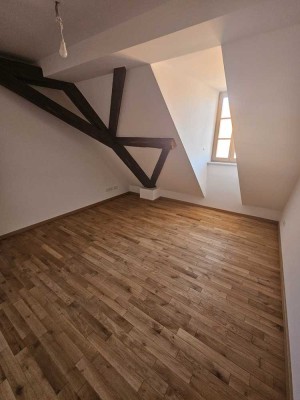 *Erstbezug* gemütliche 2 Raumwohnung im Herzen der historischen Altstadt