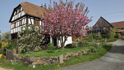Schönes Fachwerkhaus  in Hochkirch