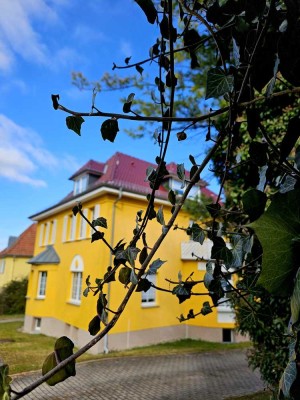 Luxuriöse 3 Raum Wohnung, in einer Villa im 1 OG, zu vermieten :)