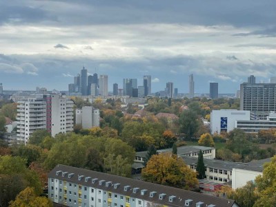 3 Zimmer Wohnung mit einzigartigem Skylineblick