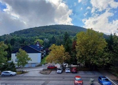 Tageslicht verwöhntes, teilmöbliertes, gepflegtes Südbalkon-Apartment mit Lift & hübschen Ausblick