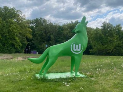 Den Wolf im Blick - Ihr neues Zuhause am Waldrand! Kautionsfrei!!