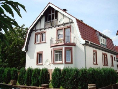 Sehr schöne und neu renovierte Loftwohnung mit grosser Loggia und Duo Dachflächenfenstern