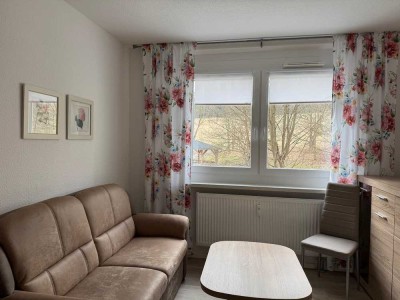 1,5 Zimmer Wohnung *möbliert* mit Balkon WE 1.04