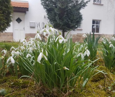 Topsaniert: Exklusive 4-ZKB im Naturidyll vor den Toren Jenas