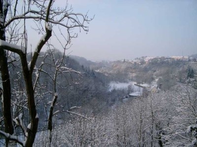 Aussichtsreiche sonnige 2-Zi-Hangetagenwohnung