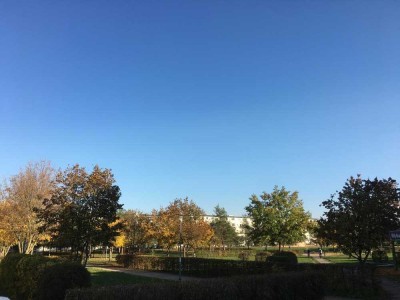 provisionsfrei: Gut vermietet am Park