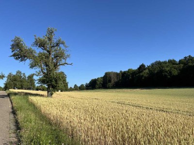 "Ruhig, sonnig und richtig viel Platz" Helle DHH in Weissach. Bereits im Bau
