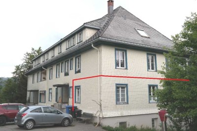 Kleine 3 Zimmer-Wohnung im schön gelegenen Todtmoos/Schwarzwald