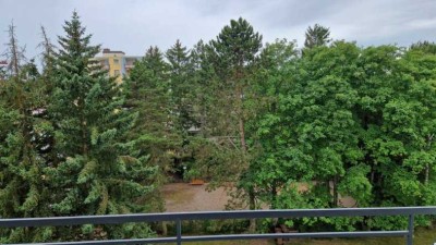 Schöne, helle, grundsanierte 3-Zimmer-Wohnung mit Balkon und Waldrandlage in Maintal-Dörnigheim