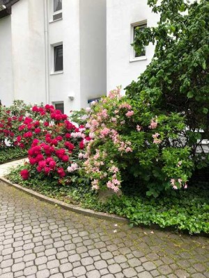 Wohnpark "Am Weißenborner Bach":3-Zimmer-Wohnung mit Terrasse