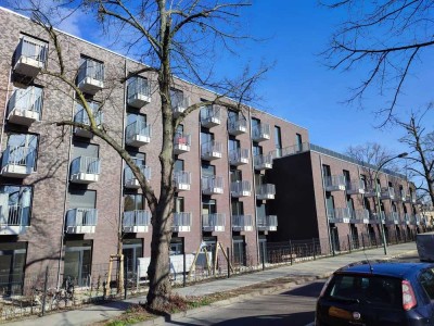 Großes 1-Raumapartment zur Miete in Potsdam Bornstedt - Wentzel Dr. -