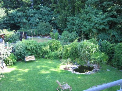 +++ Wohnen mit Flair - Direkt am Waldrand - Traisa - 5 Minuten nach Darmstadt +++