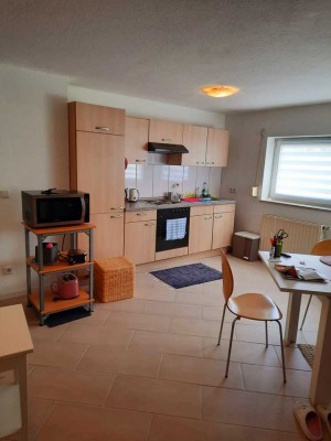 Stilvolle, vollständig renovierte 1-Zimmer-Souterrain-Wohnung in Landau in der Pfalz