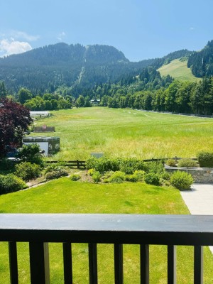 Täglich grüßt der Hahnenkamm