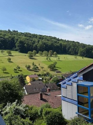 Grosse 2,5 Zi-Dachwohnung in Inzlingen (Lörrach)