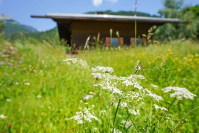 HAUS MIT FREIZEITWOHNSITZWIDMUNG - HÜTTE IN AUTHENTISCHER TIROLER HOLZBAUWEISE