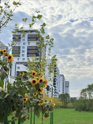 Skyline-Living in Bestlage Düsseldorfs – Luxuswohnung mit Concierge, Sauna, Gym und Panoramablick