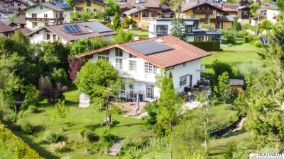 ADNET | SOLO AM GRÜNLAND