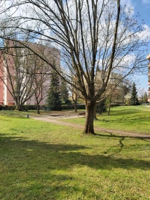 Gemütliches 2 Zimmer- Glück mit Gartenblick