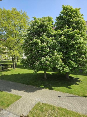 NEU renovierte schöne 3-Zimmer-Wohnung mit Balkon in Hemmingen Arnum