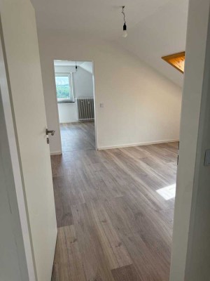 Schöne sanierte Einzimmerwohnung in Östringen