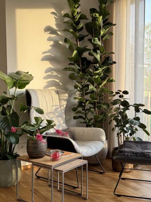 Luxuriöse teilmöblierte 4-Zimmer Wohnung im 1. OG in Dresden - direkt an der Elbe