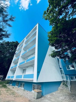 1 Zimmer Appartement in Erlenbach