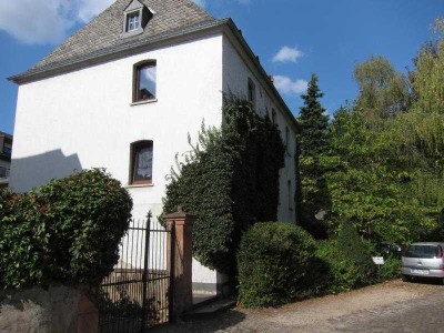 Trier-Süd Wohnung mit großer Terrasse