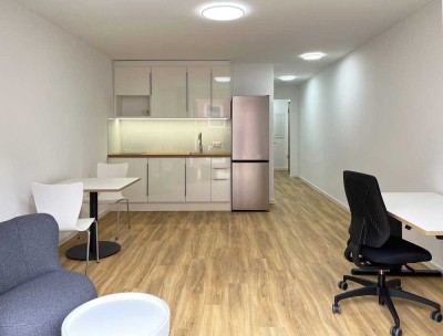 Möbliertes 1 -Zimmerappartement im Fünfgiebelhaus Kiel zu vermieten