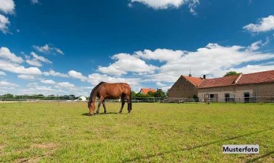 Landwirtschaftliche Hofstelle mit Pensionspferdehaltung