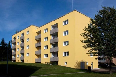 Renovierte Wohnung in ruhiger Stadtrandlage