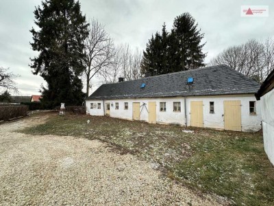 Sanierungsbedürftiges Haus in Wildenfels: 100 m², 1.416 m² Grundstück, Luftschutzkeller & Garagen