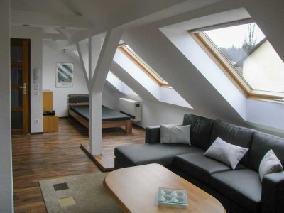 Möbliertes Appartement 1,5-Zimmer in 75365 Calw