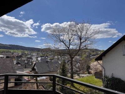 3 Zimmer Dachgeschosswohnung in wundervoller Lage in Usseln