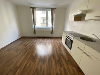 Hübsche, ruhige 2-Zimmerwohnung Nähe Stadthalle und Schmelz, Linie 9 + U6-Burggasse!