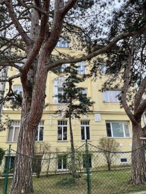 neuer Balkon! 2-Zimmer-Altbau-Wohnung mit Gartennutzung