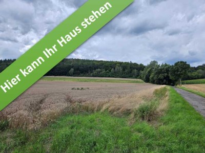 Das ausbaufähige und flexible Massivhaus "FürDich" im kommenden Baugebiet in Wehrstedt.