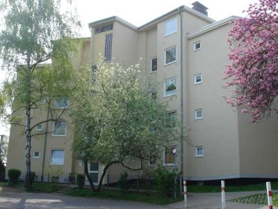 In 5 Minuten zu Fuß in die Aue! Schöne Wohnung für Paare oder die kleine Familie