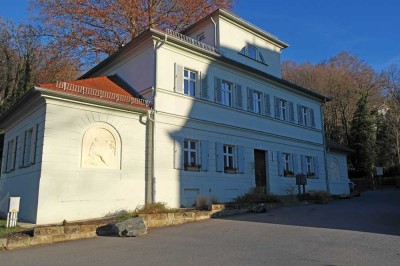 Residieren im Königlichen Park Wachwitz - exklusive 3-Zimmer-Wohnung mit Wintergarten + Terrasse