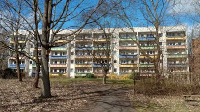 Sehr ruhige 4-Zimmer-Wohnung in Friedrichshagen (Köpenick), Berlin