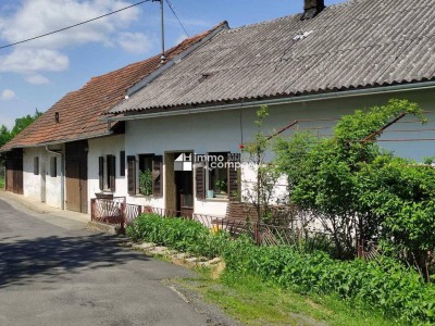 Rarität in Thermennähe! Altes Bauernhaus in unverbaubarer, ruhiger, sonniger Lage mit großem Baulandgrundstück, Wald und Wiese
